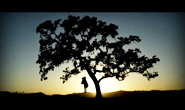 movie03_img