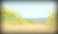 movie04_img